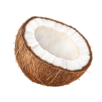 Nucă de cocos