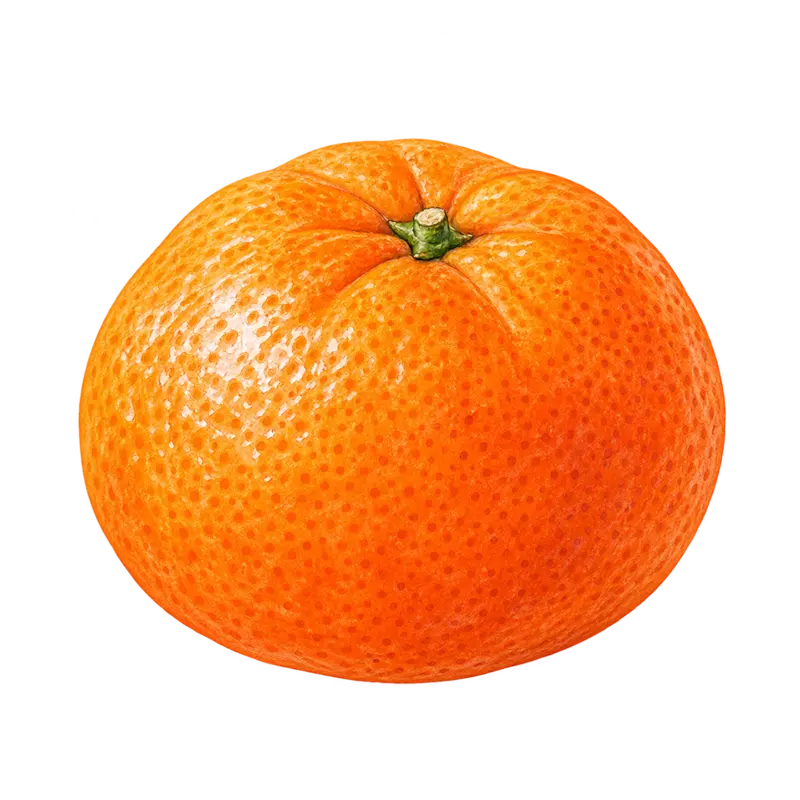 Ilustración de la nota olfativa Mandarina