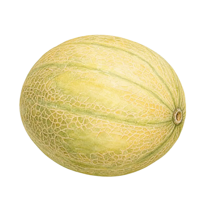 Melone