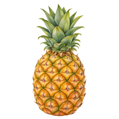 Pineapple