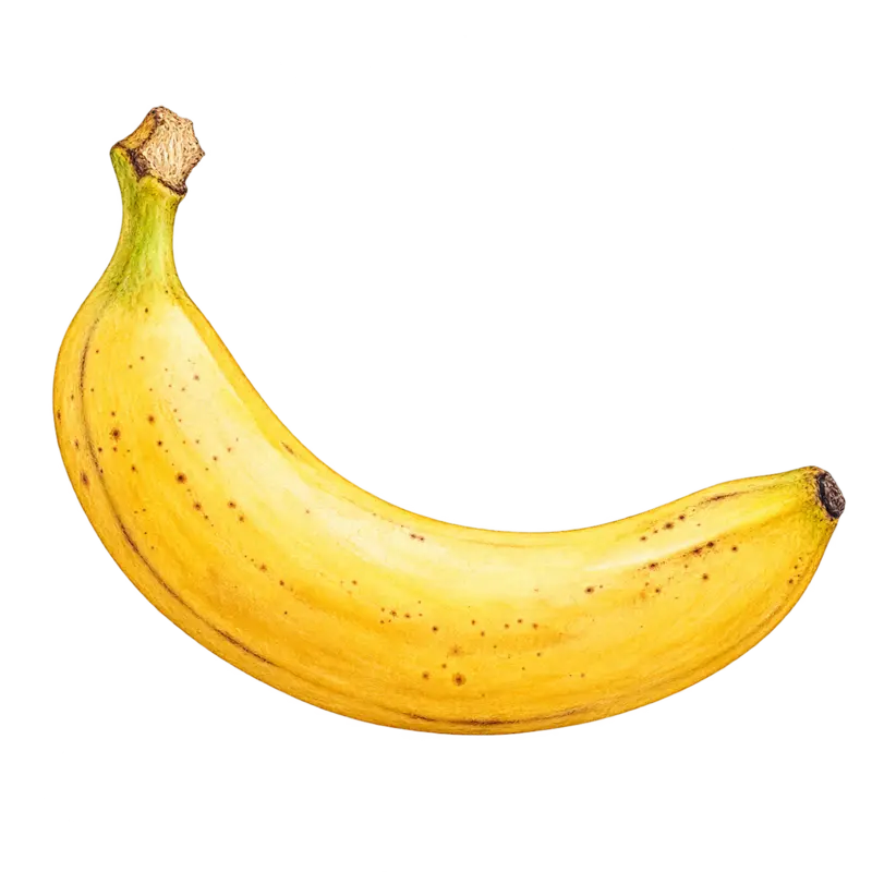 Ilustración de la nota olfativa Plátano