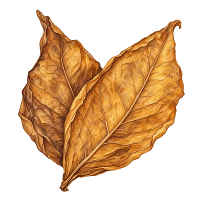 Tabaco