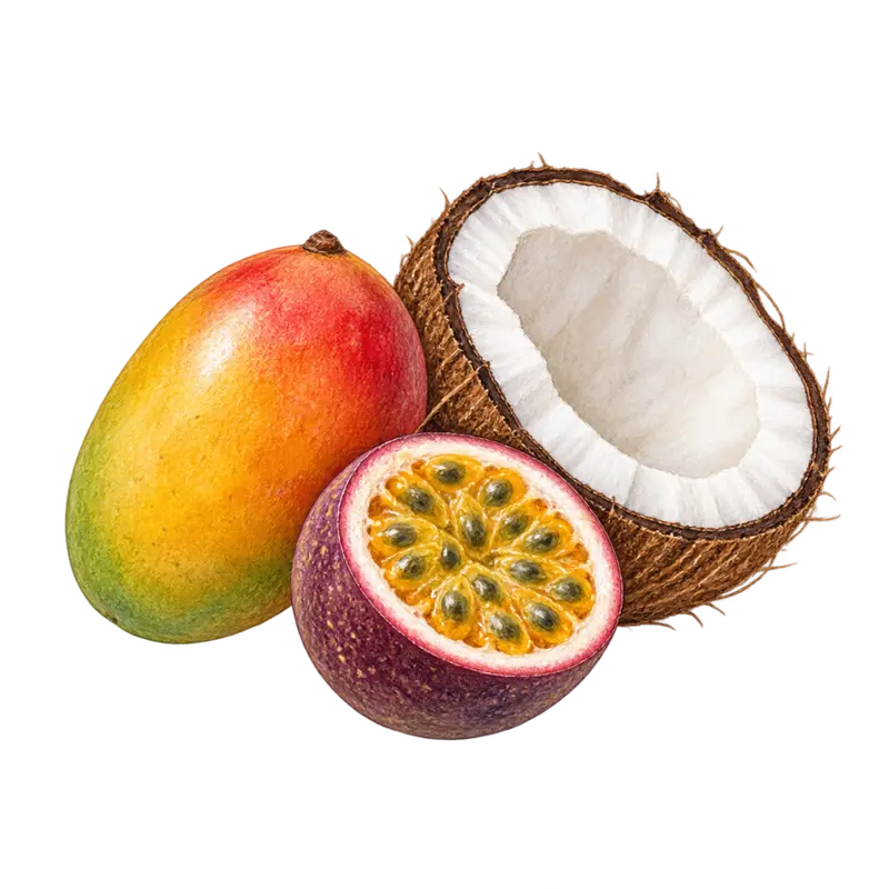Ilustración de la nota olfativa Tropical