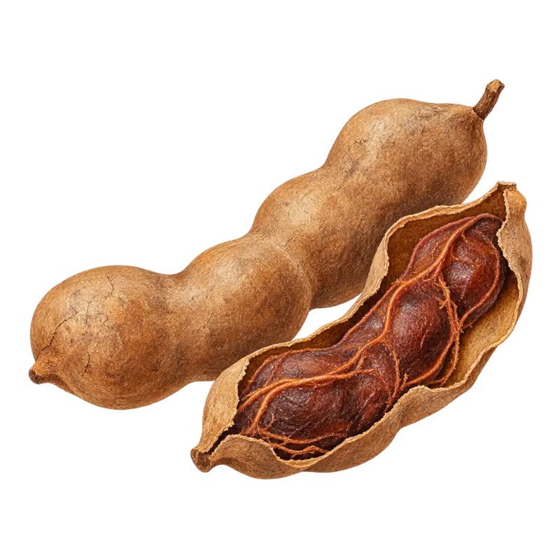 Ilustración de la nota olfativa Tamarindo