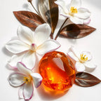 Magnolia y ámbar representando las notas olfativas del perfume.