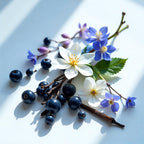 Jazmín, violeta y grosellas negras representando las notas olfativas del perfume.