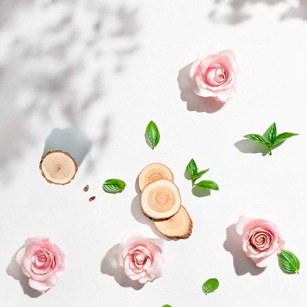 Notas olfativas florales y amaderadas con rosas, hojas verdes y madera