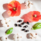 Notas olfativas florales y frescas con amapola, algodón, vainilla y hojas verdes