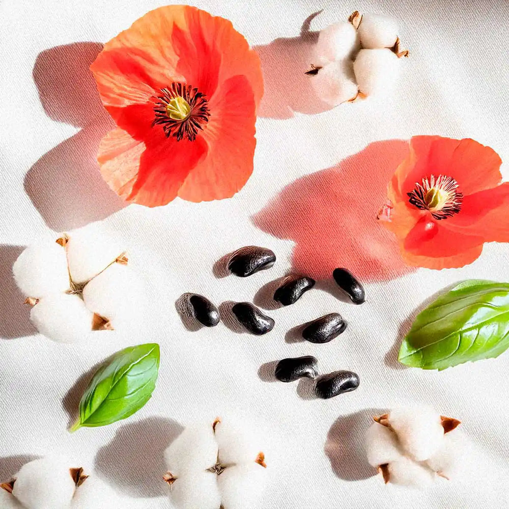 Notas olfativas florales y frescas con amapola, algodón, vainilla y hojas verdes
