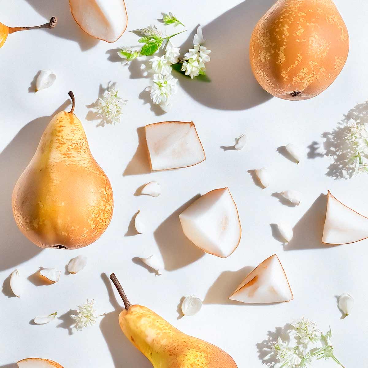 Notas olfativas frutales y frescas con pera, coco y flores blancas