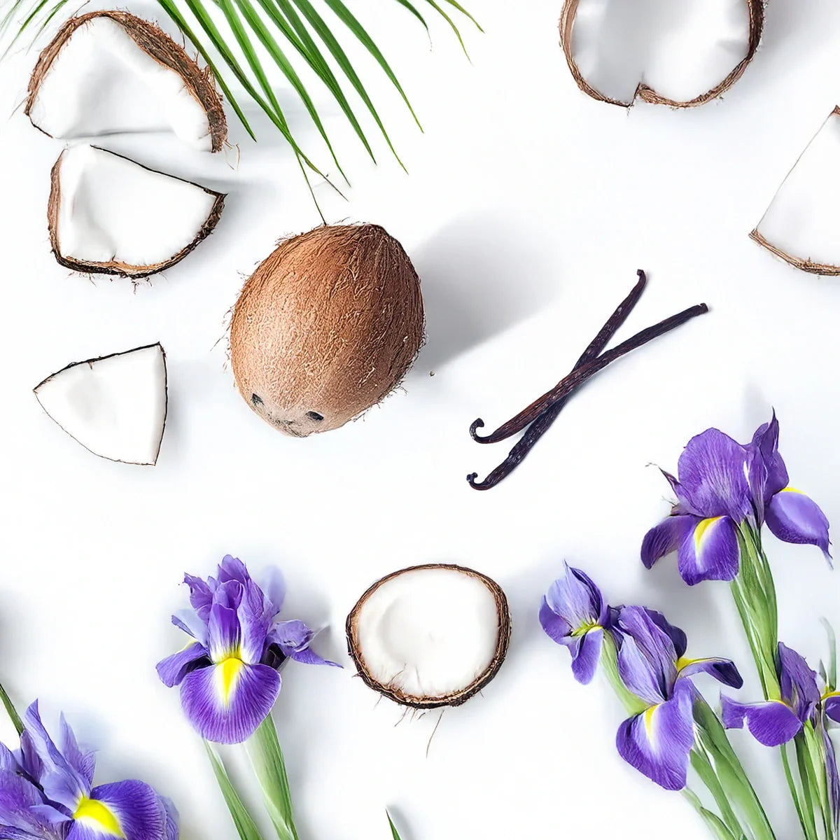 Notas olfativas cremosas y florales con coco, vainilla e iris