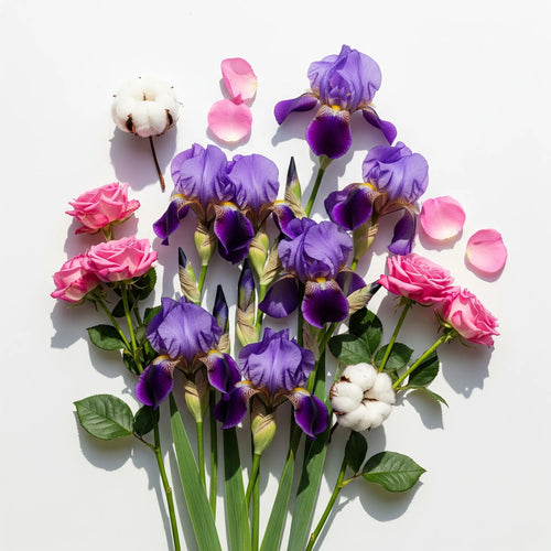 Notas olfativas florales y suaves con iris, rosas y algodón