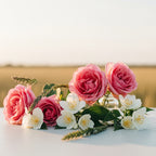 Notas olfativas de rosa fresca y jazmín blanco en un campo al atardecer