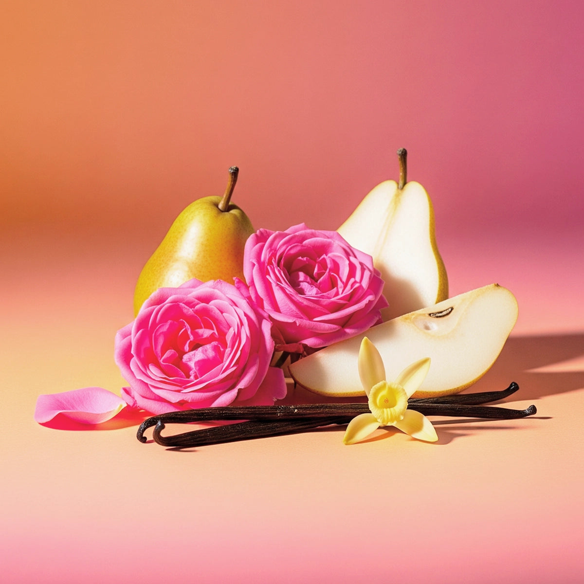 Notas olfativas del perfume divain.1064 | divain Parfums