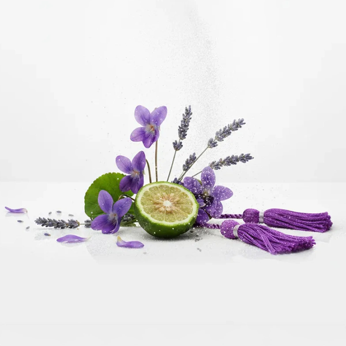 Notas olfativas del perfume divain.1073 | divain Parfums