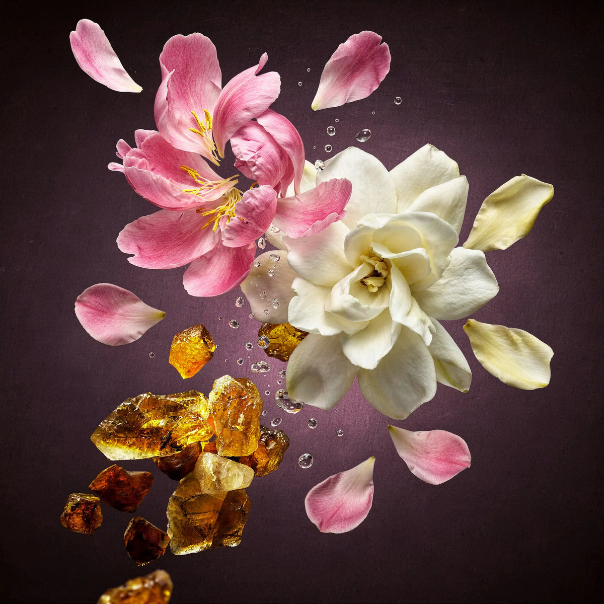 Notas olfativas del perfume divain.1092 | divain Parfums