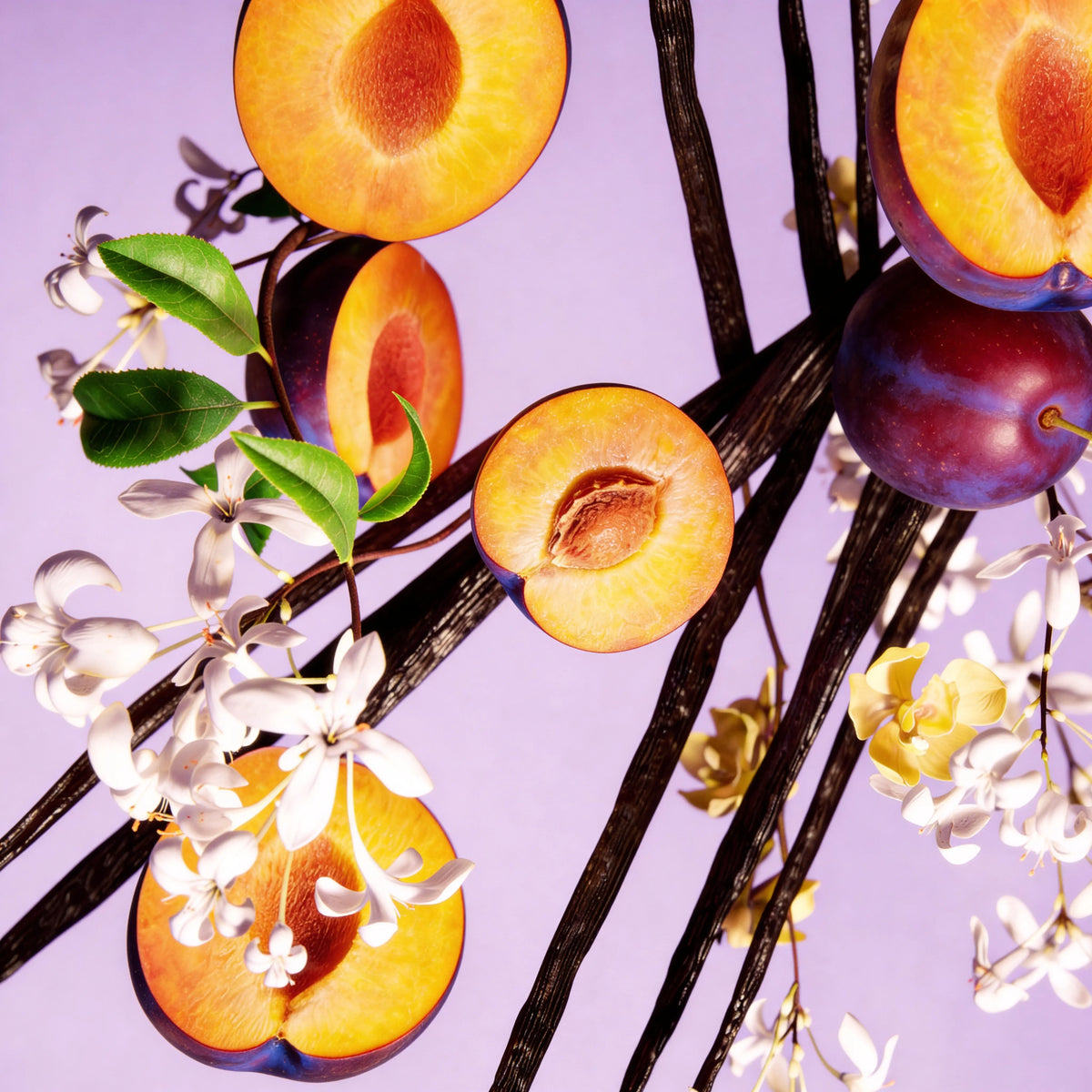 Notas olfativas del perfume divain.1094 | divain Parfums