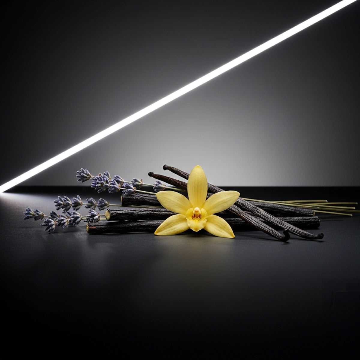 Notas olfativas del perfume divain.1307 | divain Parfums