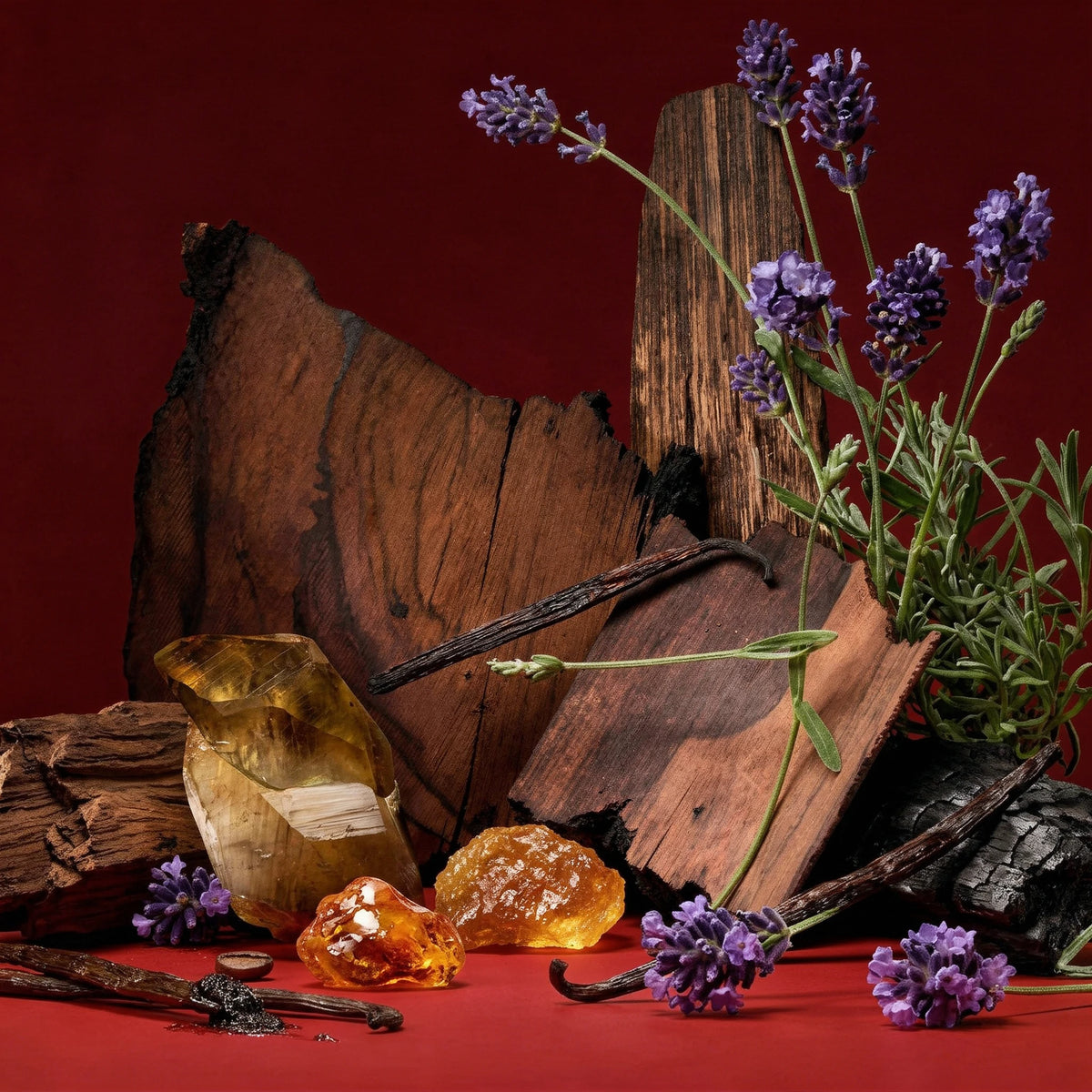 Notas olfativas del perfume divain.1318 | divain Parfums