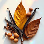 Hojas de tabaco, frutos secos y cacao representando las notas olfativas del perfume.