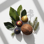 Hojas de higuera, higo y coco representando las notas olfativas del perfume.