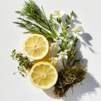 Notas olfativas de perfume con limón, flores blancas, romero, tomillo y musgo