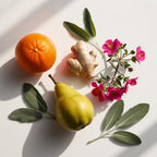 Notas olfativas de perfume con naranja, pera, jengibre fresco, flores de geranio rosa y hojas de salvia