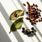 Cacao, grosellas negras y pachulí representando las notas olfativas del perfume.