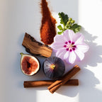 Notas olfativas de perfume con higo, flor malva, canela, azafrán y madera