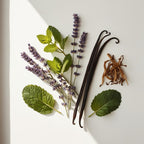 Lavanda, menta, tabaco y vainilla representando las notas olfativas del perfume.