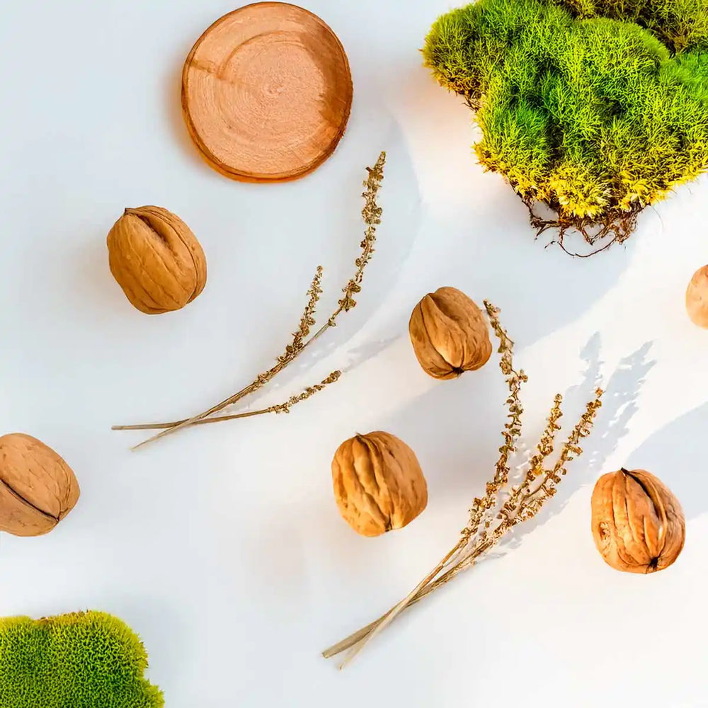 Notas olfativas de perfume con nueces, musgo y madera