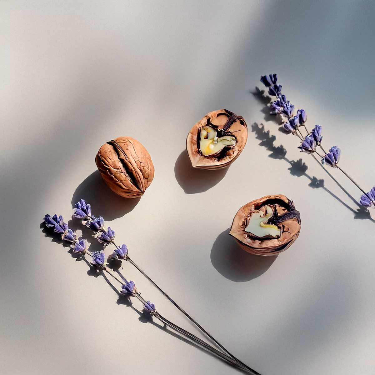 Notas olfativas del perfume con lavanda fresca con un fondo cálido de nuez y vainilla.