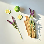 Notas olfativas del perfume con bergamota fresca, lavanda aromática y un fondo amaderado.