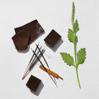 Notas olfativas del perfume con acordes de incienso, maderas oscuras y toques herbales frescos.