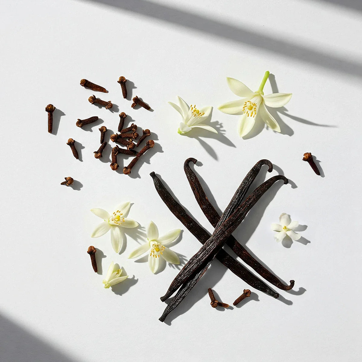 Notas olfativas del perfume con vainilla intensa, clavo especiado y flores de azahar blancas.