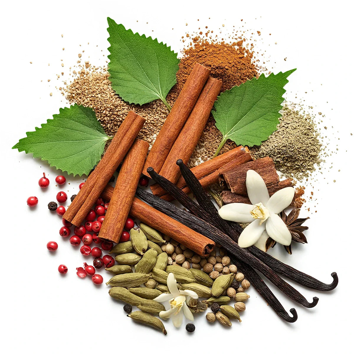 Notas olfativas del perfume con canela especiada, vainilla cálida, cardamomo aromático y un toque de pimienta rosa.