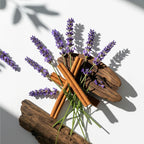 Notas olfativas del perfume con lavanda aromática, canela especiada y un fondo de maderas cálidas.