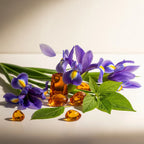 Notas olfativas del perfume con iris elegante, hojas verdes frescas y un fondo cálido de ámbar.