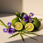 Notas olfativas del perfume con bergamota fresca, iris elegante y un toque verde de bambú.