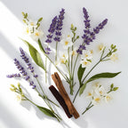 Lavanda, jazmín y vainilla representando las notas olfativas del perfume.