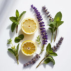 Notas olfativas del perfume con limón, lavanda y menta.