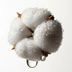 Notas olfativas del perfume de almizcle.