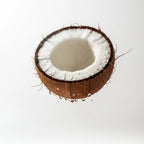 Notas olfativas del perfume de coco.