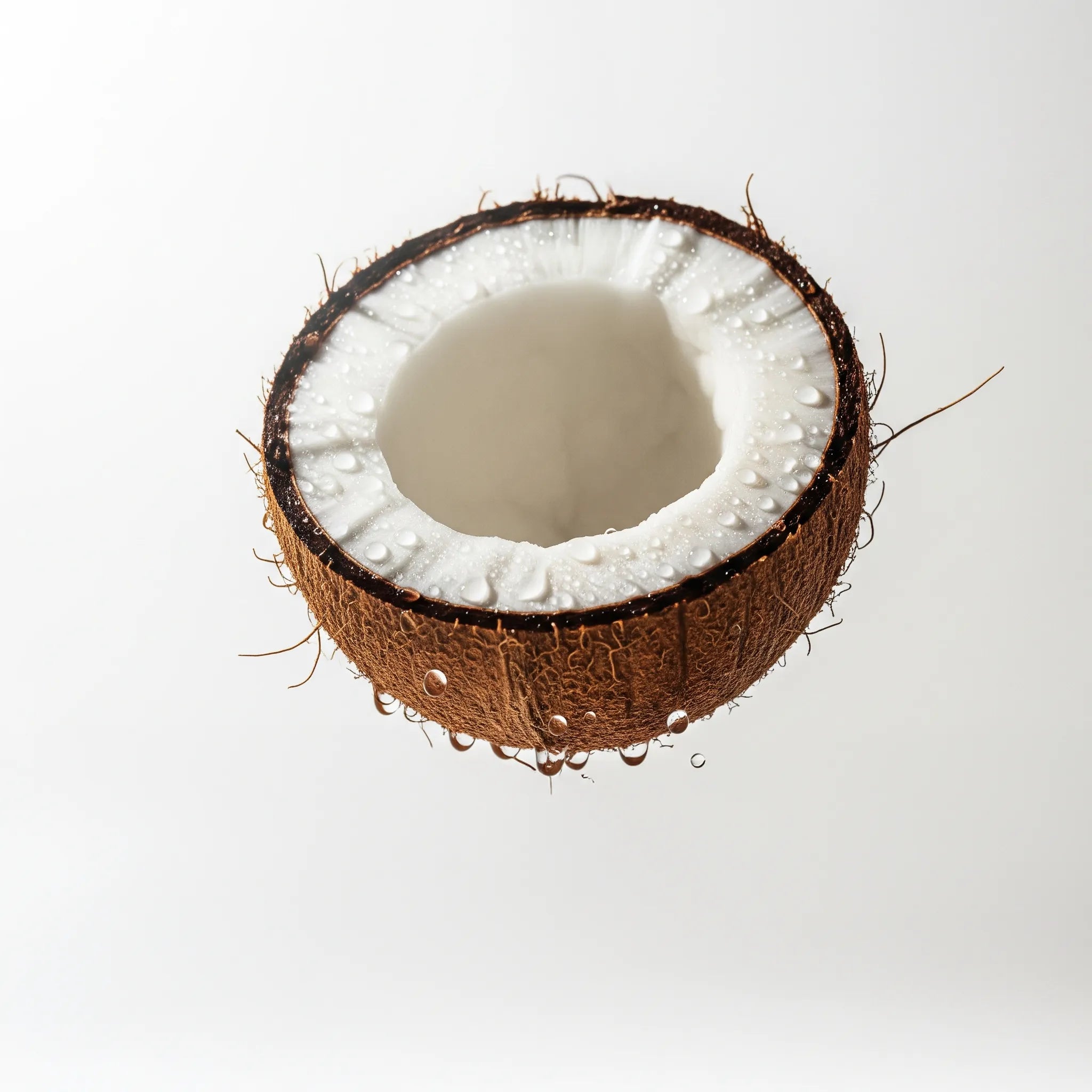 Notas olfativas del perfume de coco.