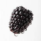 Notas olfativas del perfume de mora.