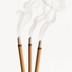 Notas olfativas del perfume de incienso.