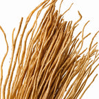 Notas olfativas del perfume de vetiver.