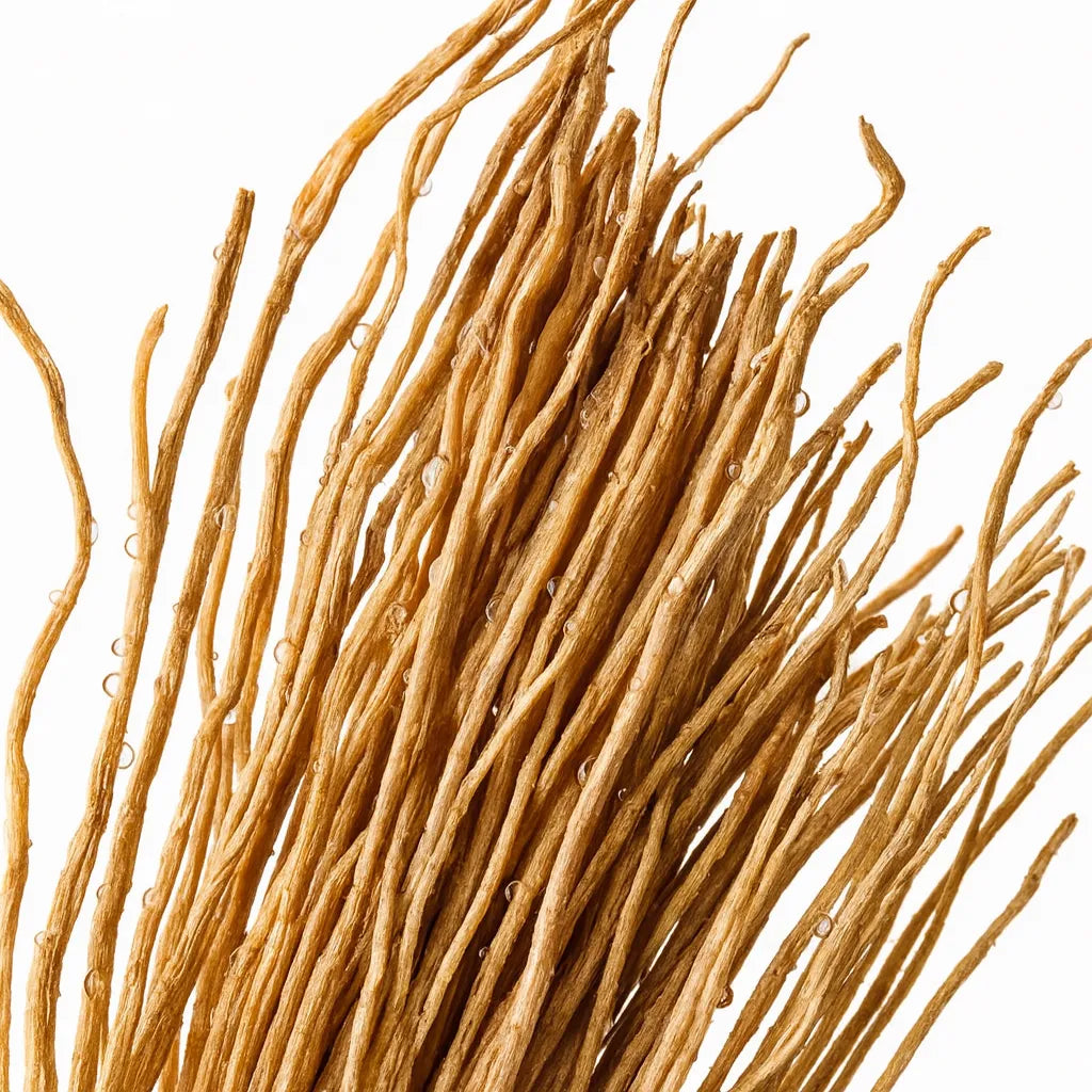 Notas olfativas del perfume de vetiver.