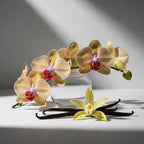 Vanilla Bean Room Spray