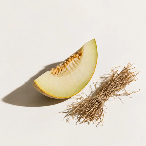 Zest Mikado Reed Diffuser